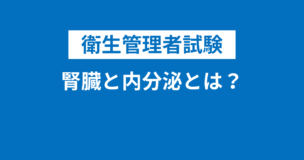 衛生管理者：腎臓と内分泌とは？アドレナリンなど聞き馴染みのある単語も登場！のアイキャッチ画像